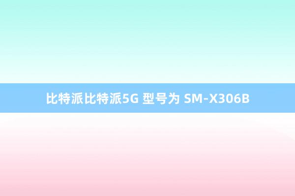 比特派比特派5G 型号为 SM-X306B