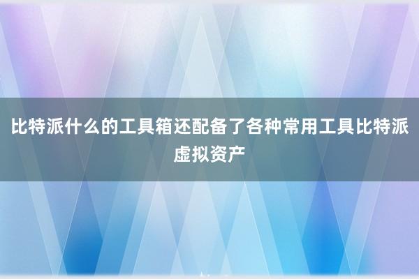 比特派什么的工具箱还配备了各种常用工具比特派虚拟资产