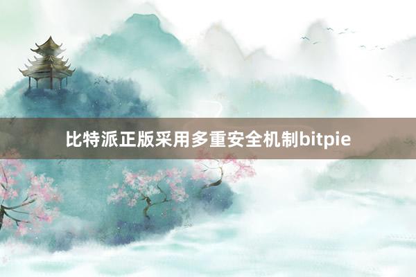 比特派正版采用多重安全机制bitpie