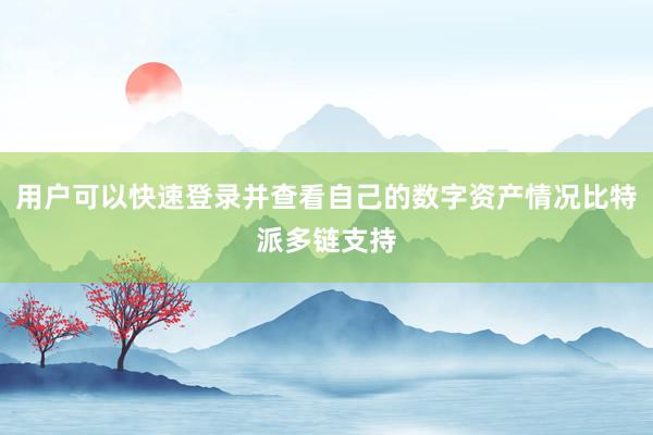 用户可以快速登录并查看自己的数字资产情况比特派多链支持