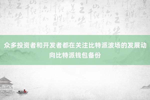 众多投资者和开发者都在关注比特派波场的发展动向比特派钱包备份