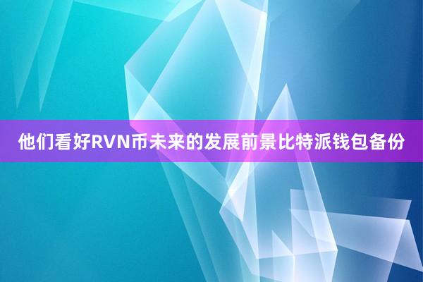 他们看好RVN币未来的发展前景比特派钱包备份