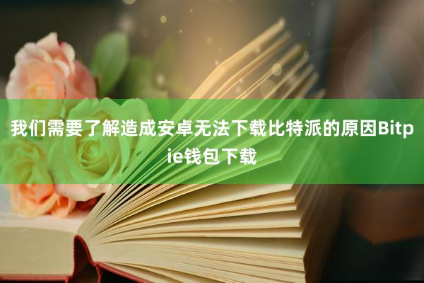 我们需要了解造成安卓无法下载比特派的原因Bitpie钱包下载