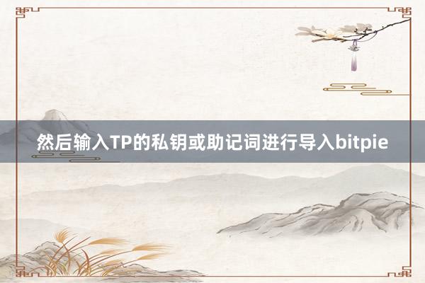 然后输入TP的私钥或助记词进行导入bitpie