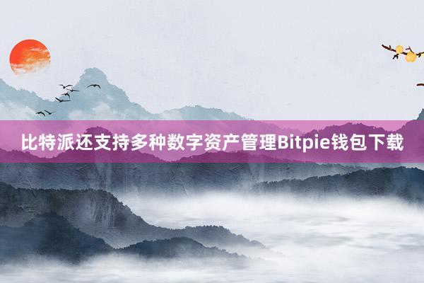 比特派还支持多种数字资产管理Bitpie钱包下载