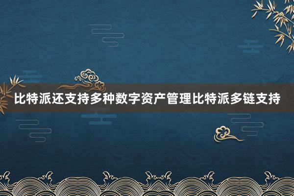 比特派还支持多种数字资产管理比特派多链支持