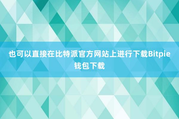 也可以直接在比特派官方网站上进行下载Bitpie钱包下载