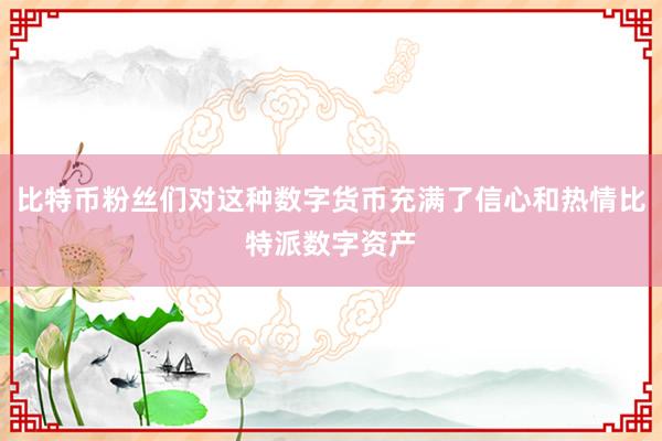 比特币粉丝们对这种数字货币充满了信心和热情比特派数字资产