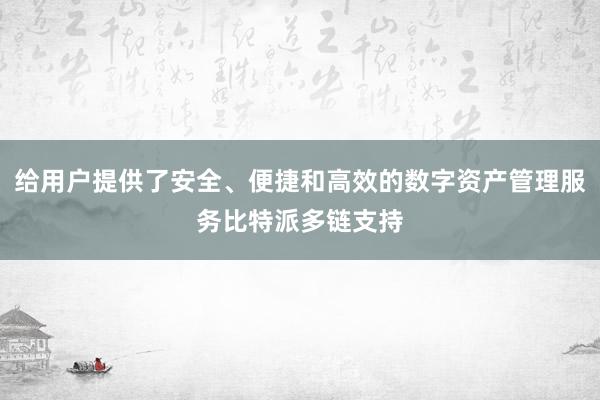 给用户提供了安全、便捷和高效的数字资产管理服务比特派多链支持