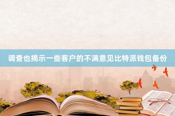 调查也揭示一些客户的不满意见比特派钱包备份