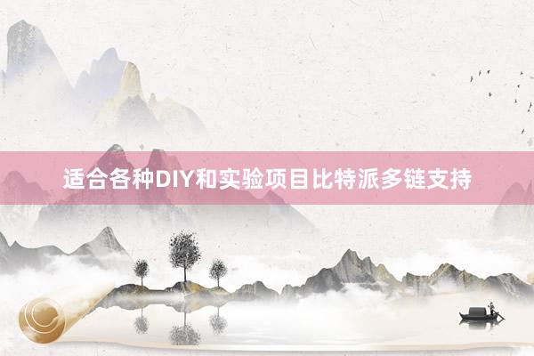 适合各种DIY和实验项目比特派多链支持