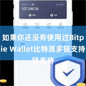 如果你还没有使用过Bitpie Wallet比特派多链支持