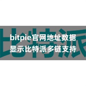 bitpie官网地址数据显示比特派多链支持