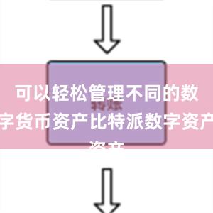 可以轻松管理不同的数字货币资产比特派数字资产